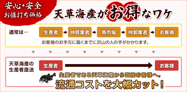 安心・安全。お値打ち価格。天草海産がお得なワケ