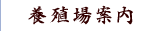 とらふぐ養殖場案内