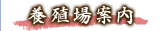 とらふぐ養殖場案内