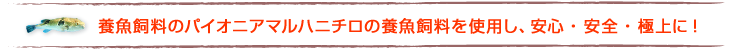 養魚飼料のパイオニアマルハニチロの養魚飼料を使用し、安心・安全・極上に!