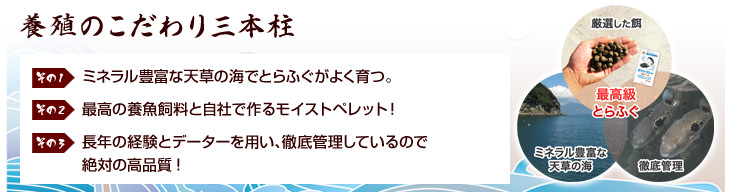 養殖のこだわり三本柱